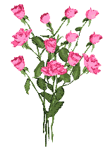 bouquet roses