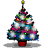 sapin-12